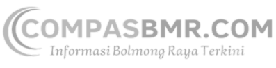 logo-footer